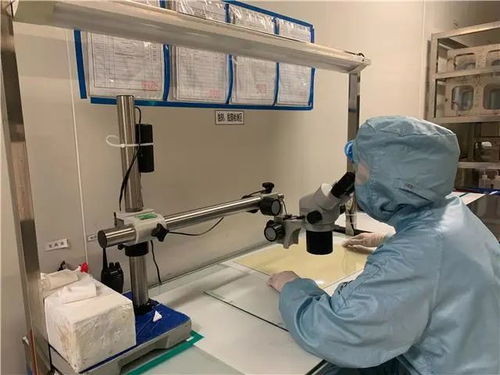 創新發展天地寬，技術驅動鑄輝煌 看梁平這家企業如何走向全國